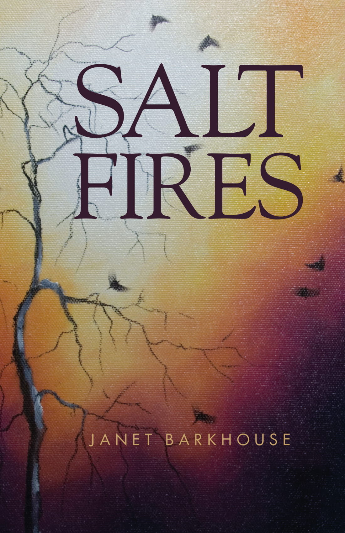 Title details for Salt Fires by Janet Barkhouse - Available